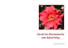 Geburtstagskarte-8.pdf